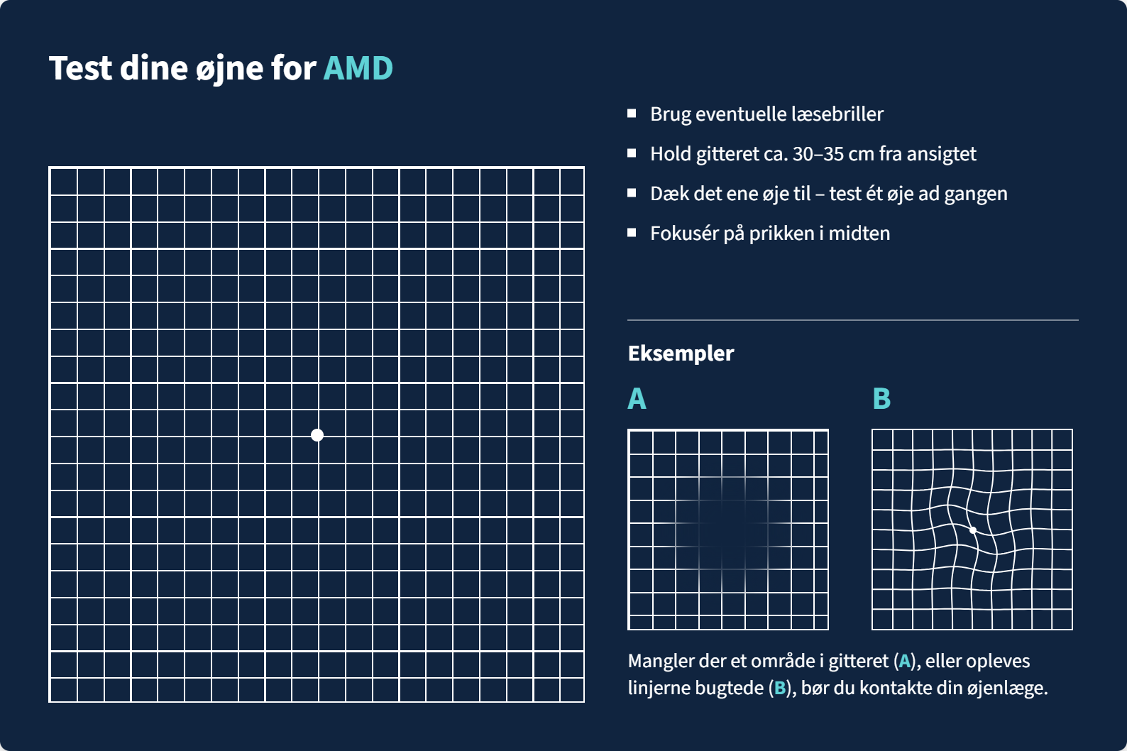 Amsler-gitter figur-selection.png